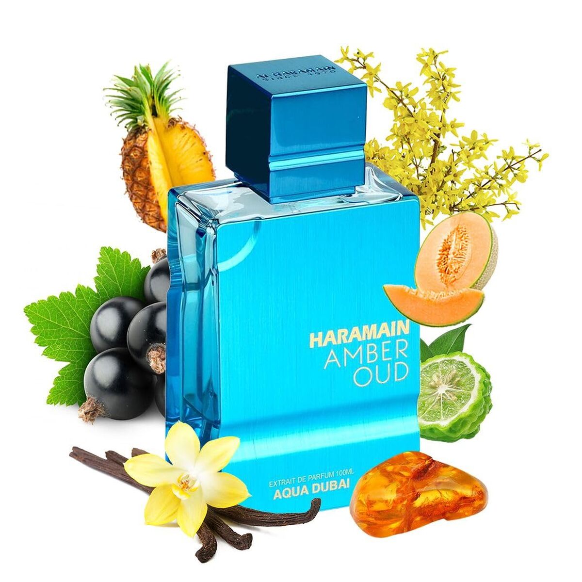 Unisex Perfume Al Haramain AMBER OUD 100 ml-0
